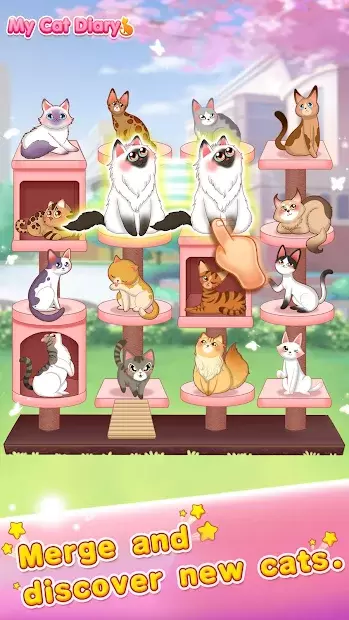 猫咪日记动漫公主换装