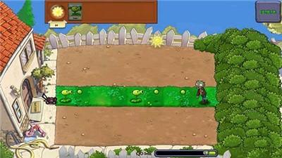 植物大战僵尸rt版