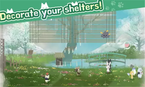 猫咪收容所中文版