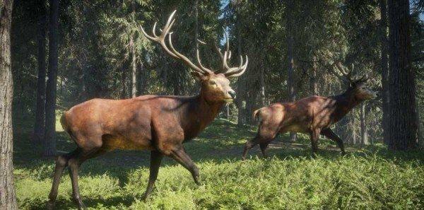 荒野的召唤手机版中文