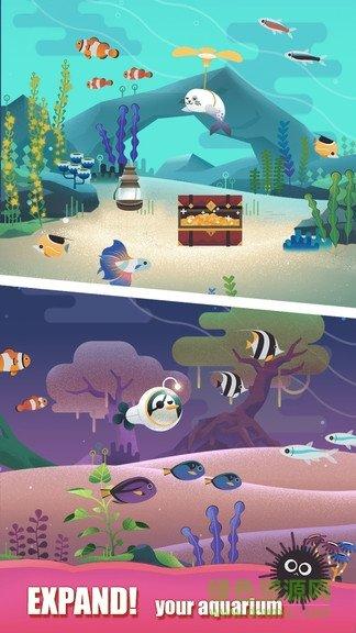 水族馆之谜手游公测版