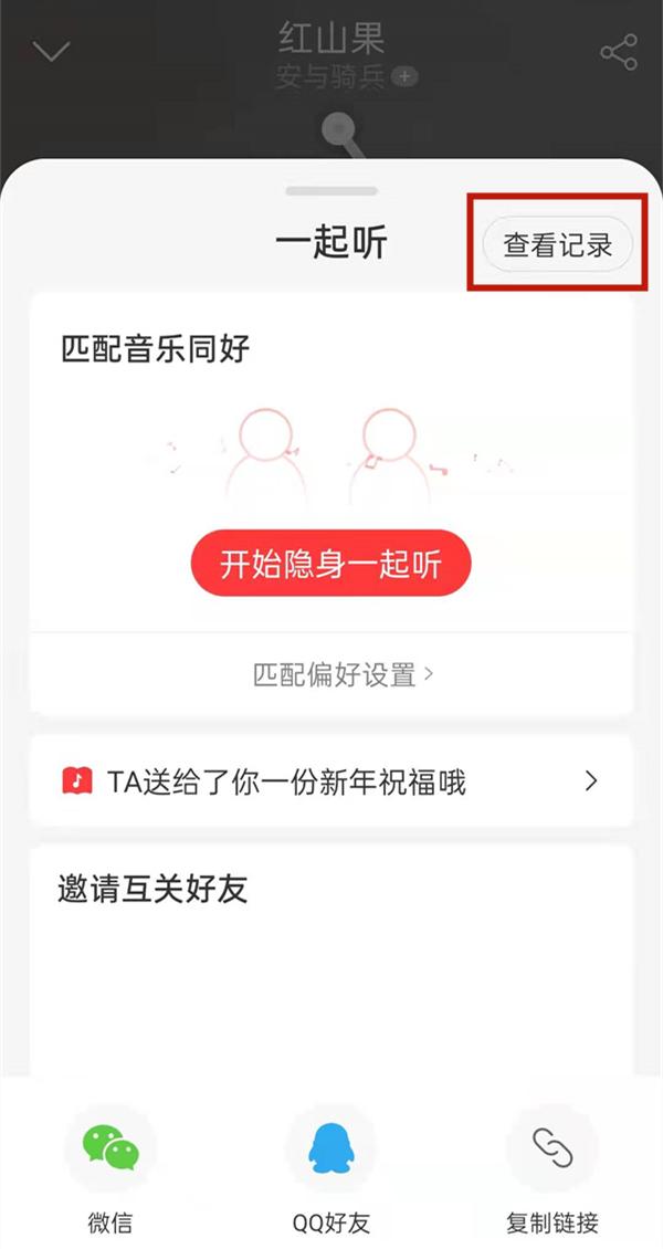 网易云能看到别人和谁一起听吗