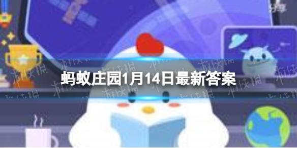 菜鸟下载1