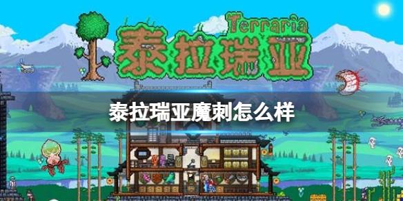 泰拉瑞亚魔刺怎么样