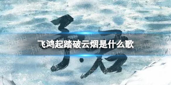 菜鸟下载1
