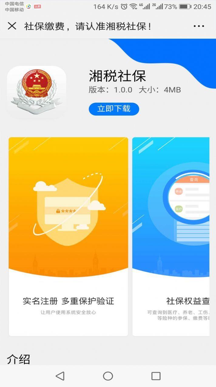 湖南税务局网上办税大厅app