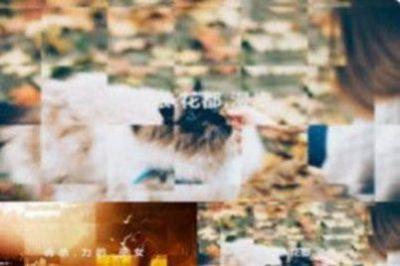 vj师素材网app免费