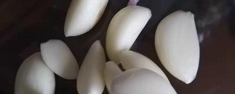 青蒜和蒜苗一样吗