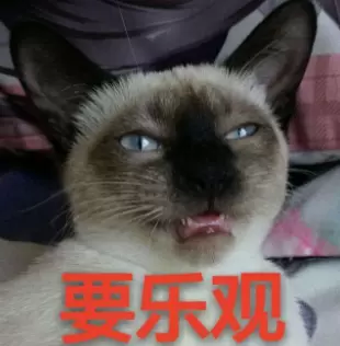《抖音》逻辑猫是什么梗