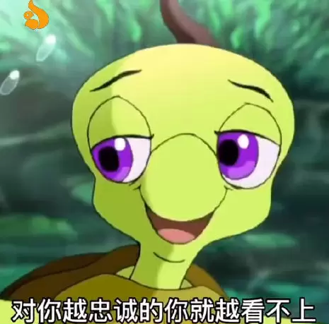 沸面黑龟什么意思，沸面黑龟梗含义介绍