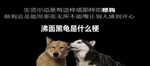 沸面黑龟什么意思，沸面黑龟梗含义介绍