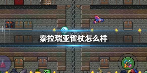 菜鸟下载1