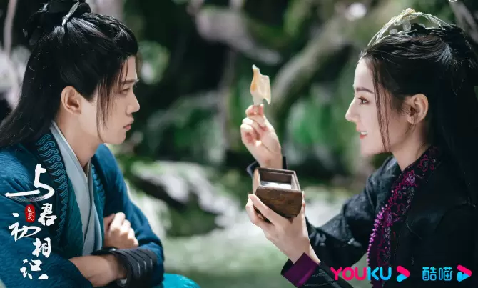 与君初相识一共多少集