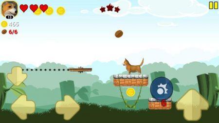 柴犬咖啡冒险Shiba Coffee Adventures