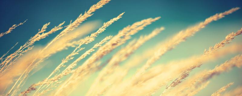 愿所有好运都如期而至的说说