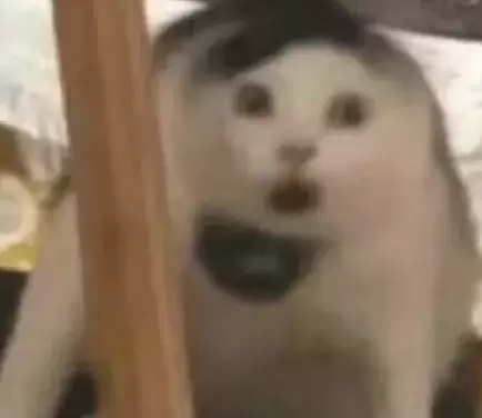 倒吸一口凉气是什么梗 倒吸一口凉气意思介绍