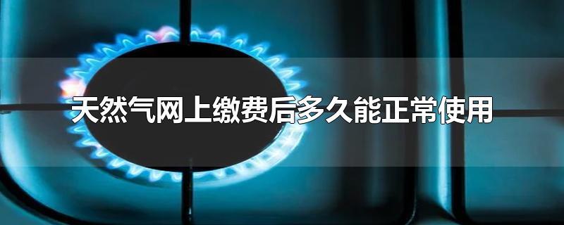 天然气网上缴费后多久能正常使用-最新天然气网上缴费后多久能正常使用整理解答