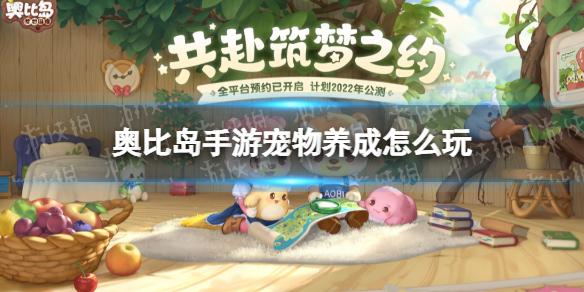 菜鸟下载1