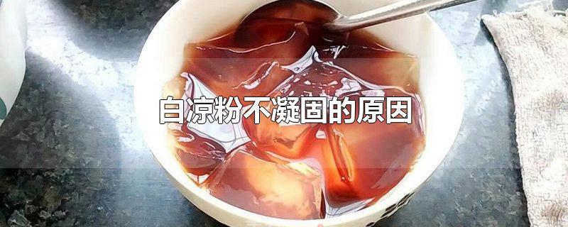 白凉粉不凝固的原因-最新白凉粉不凝固的原因整理解答