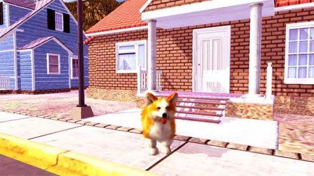 柯基犬模拟器Corgi Dog Simulator