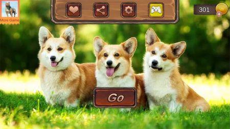 柯基犬模拟器Corgi Dog Simulator