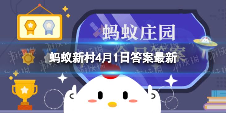 菜鸟下载1