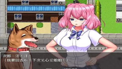 野良犬的未婚妻2回想码版