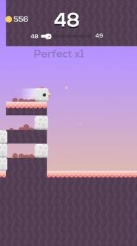 方形鸟Square Bird