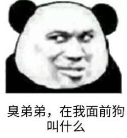 你在狗叫什么表情包图片大全