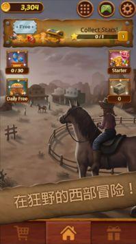 珠宝狂野西部Jewels Wild West