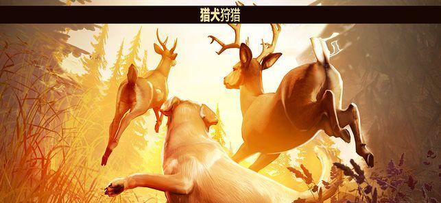 猎鹿人修改版无限金币