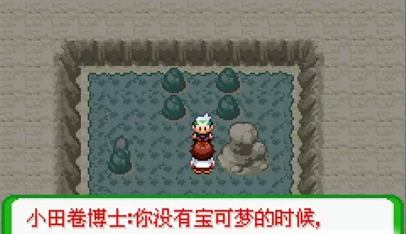 口袋妖怪空之花神补完版