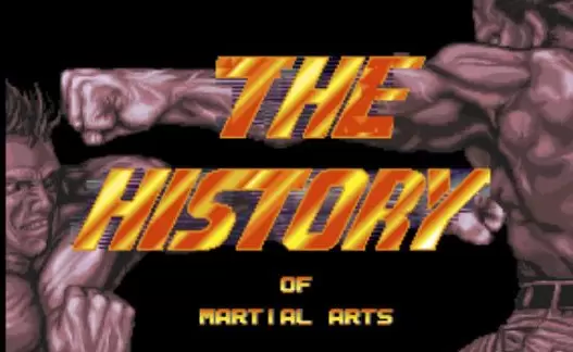 武术的历史直装版