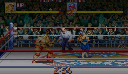 摔跤霸王(世界版)