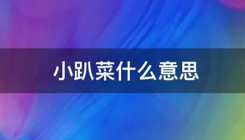 小趴菜什么意思网络用语(小趴菜梗出处及含义)
