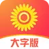 爱读大字版app
