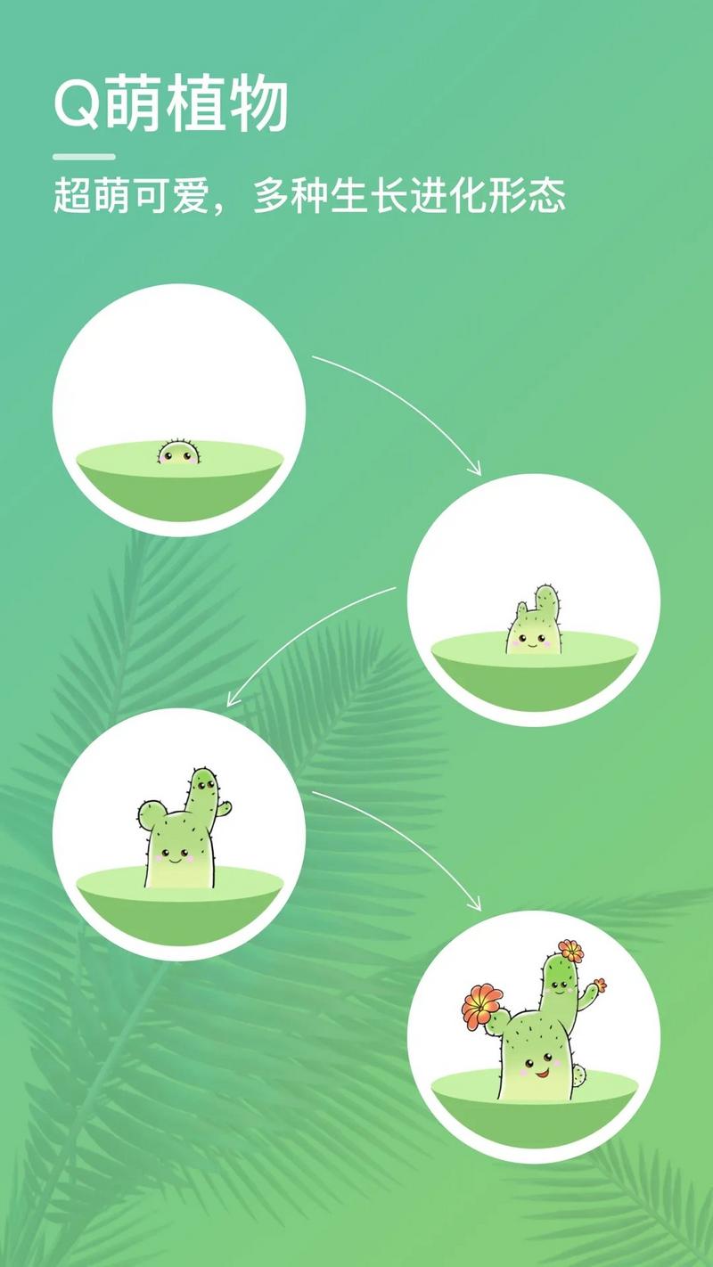 口袋植物不用登录