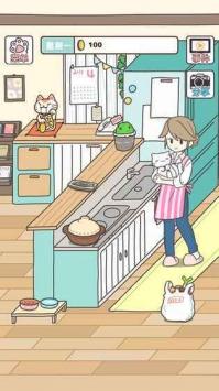 猫咪饲养日常