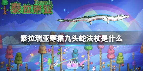 菜鸟下载1