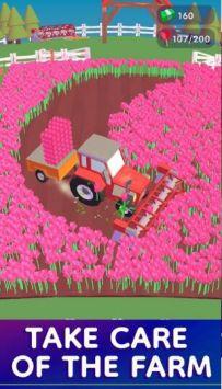 我的郁金香农场Tulip Farm