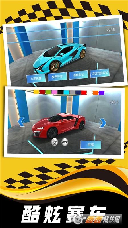 现实司机模拟器