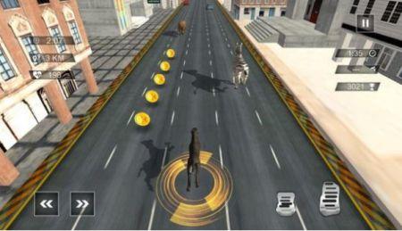 无尽公路动物赛跑Animal Race In Endless Highway