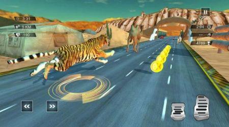 无尽公路动物赛跑Animal Race In Endless Highway