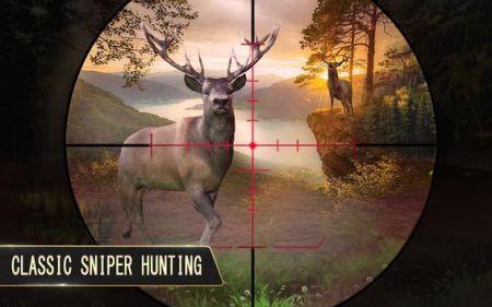 猎鹿新狙击手Deer Hunting New Sniper Hunter