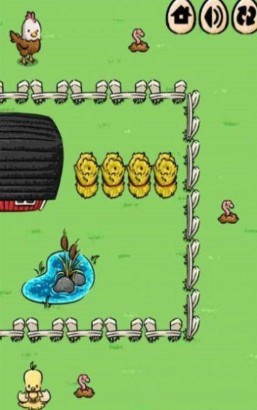 小鸡找妈妈正式版