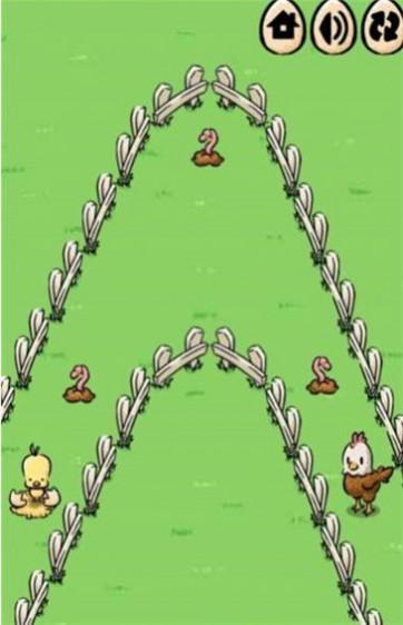 小鸡找妈妈正式版