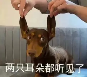 《抖音》酸Q是什么梗