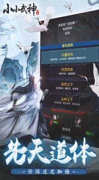 小小武神MUD修仙