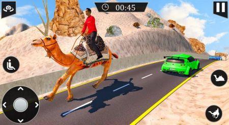 越野骆驼出租车Offroad Camel Taxi