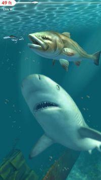 职业钓鱼Rapala Fishing